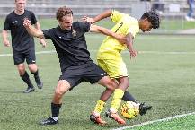 Nhận định, soi k&egrave;o Island Bay United vs North Wellington, 10h30 ng&agrave;y 7/6: Hat-trick thắng cho chủ nh&agrave;