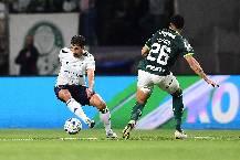 Nhận định, soi k&egrave;o Cruzeiro vs Palmeiras, 7h30 ng&agrave;y 7/12