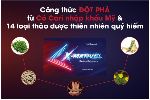 Hiệu quả bất ngờ của vi&ecirc;n ngậm X-MARVEL trong hỗ trợ tăng cường sinh l&yacute; cho ph&aacute;i mạnh