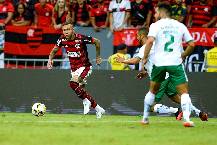 Nhận định, soi k&egrave;o Juventude vs Flamengo, 7h30 ng&agrave;y 10/11