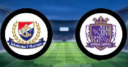 Link xem trực tiếp Yokohama Marinos vs Sanfrecce Hiroshima, 17h ng&agrave;y 10/8