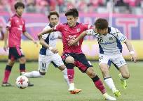 Nhận định, soi k&egrave;o Gamba Osaka vs Cerezo Osaka, 17h00 ng&agrave;y 14/2: Đắng cay xa nh&agrave;