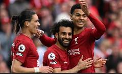 Nhận định, soi k&egrave;o Liverpool vs Brighton, 03h00 ng&agrave;y 15/2: Xẻ thịt Chim m&ograve;ng biển