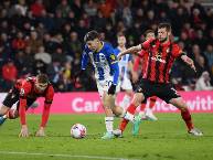 Si&ecirc;u m&aacute;y t&iacute;nh dự đo&aacute;n Bournemouth vs Brighton, 21h00 ng&agrave;y 13/9