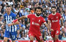 Si&ecirc;u m&aacute;y t&iacute;nh dự đo&aacute;n Liverpool vs Brighton, 22h00 ng&agrave;y 13/12