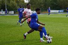 Nhận định, soi k&egrave;o Cardiff vs Watford, 2h45 ng&agrave;y 15/1: X&iacute;ch lại gần nhau