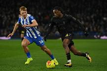 Si&ecirc;u m&aacute;y t&iacute;nh dự đo&aacute;n Sunderland vs Brighton, 22h00 ng&agrave;y 14/3
