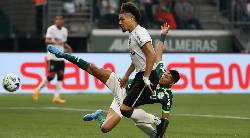 Nhận định, soi k&egrave;o Botafogo vs Palmeiras, 7h30 ng&agrave;y 15/8: Tận dụng lợi thế