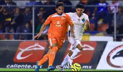 Nhận định, soi k&egrave;o Correcaminos vs Leones Negros, 08h00 ng&agrave;y 16/8: Vị kh&aacute;ch yếu b&oacute;ng v&iacute;a