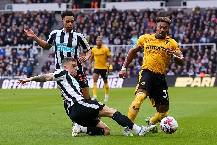 Nhận định, soi k&egrave;o Wolves vs Newcastle, 21h00 ng&agrave;y 18/1: Phong độ đang l&ecirc;n