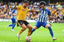 Nhận định, soi k&egrave;o Brighton vs Wolves, 1h45 ng&agrave;y 19/9: M&oacute;ng vuốt của Hải &acirc;u