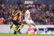 Nhận định, soi k&egrave;o Tapatio vs Leones Negros, 8h00 ng&agrave;y 18/11: Tiếp mạch bất bại