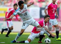 Nhận định, soi k&egrave;o Kawasaki Frontale vs Cerezo Osaka, 14h ng&agrave;y 18/3