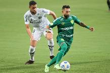 Soi k&egrave;o, dự đo&aacute;n Macao Palmeiras vs Cuiab&aacute; 6h00 ng&agrave;y 19/7