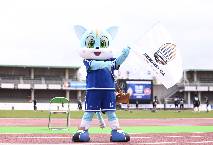 Nhận định, soi k&egrave;o Briobecca Urayasu SC vs Yokogawa Musashino, 11h00 ng&agrave;y 20/3: Kh&oacute; nhằn