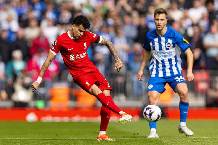 Chuy&ecirc;n gia Tony Ansell dự đo&aacute;n Brighton vs Liverpool, 02h00 ng&agrave;y 20/5