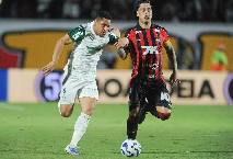 Nhận định, soi k&egrave;o Palmeiras vs Vitoria, 5h30 ng&agrave;y 20/11: B&aacute;m đuổi ng&ocirc;i đầu