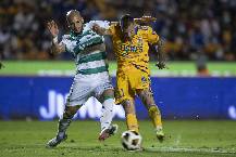 Nhận định, soi k&egrave;o Santos Laguna vs Tigres UANL, 8h00 ng&agrave;y 21/7: Cắt mạch to&agrave;n thua