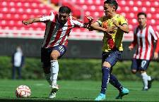 Nhận định, soi k&egrave;o Leones Negros với Chivas Tapatio, 8h05 ng&agrave;y 23/2: Chủ nh&agrave; qu&aacute; ổn