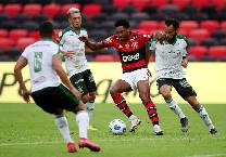 Soi k&egrave;o, dự đo&aacute;n Macao America Mineiro vs Flamengo, 5h ng&agrave;y 23/10
