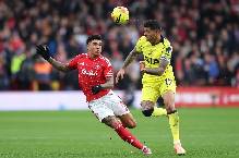 Nhận định, soi k&egrave;o Tottenham vs Nottingham, 21h15 ng&agrave;y 22/3: G&agrave; trống trở lại