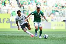 Nhận định, soi k&egrave;o Palmeiras vs Fluminense, 07h30 ng&agrave;y 23/11: Vua s&acirc;n nh&agrave; gặp g&agrave; s&acirc;n kh&aacute;ch