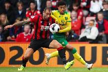 Nhận định, soi k&egrave;o Norwich City vs Bournemouth, 1h00 ng&agrave;y 25/8