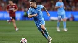 Nhận định, soi k&egrave;o Sanfrecce Hiroshima vs Sydney FC, 17h00 ng&agrave;y 23/10: Tin v&agrave;o Sydney FC