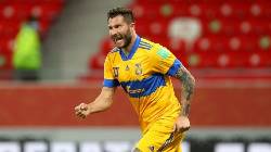 Nhận định, soi k&egrave;o Guadalajara vs Tigres UANL, 08h05 ng&agrave;y 26/1: Duy tr&igrave; mạch thắng v&agrave; dẫn đầu
