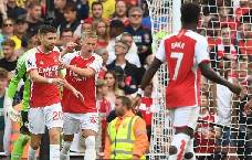 'T&ocirc;i đau đớn, t&ocirc;i gục ng&atilde;, xin lỗi c&aacute;c fans của Arsenal rất nhiều'