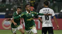 Nhận định, soi k&egrave;o Palmeiras vs Botafogo, 07h30 ng&agrave;y 27/11: &ldquo;Chung kết&rdquo; l&agrave; đ&acirc;y