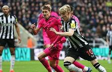 Nhận định, soi k&egrave;o Fulham vs Newcastle, 2h00 ng&agrave;y 28/1
