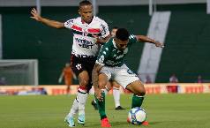 Nhận định, soi k&egrave;o Botafogo SP vs Novorizontin, 07h00 ng&agrave;y 28/5: Kh&oacute; cho kh&aacute;ch