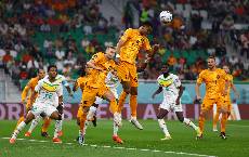 Soi k&egrave;o chẵn/ lẻ H&agrave; Lan vs Qatar, 22h ng&agrave;y 29/11