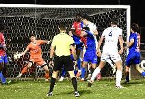 Nhận định, soi k&egrave;o Port Melbourne Sharks vs Preston Lions, 16h15 ng&agrave;y 28/3: Viết lại lịch sử