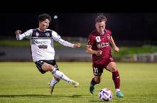 Nhận định, soi k&egrave;o Para Hills Knights vs White City Beograd, 17h00 ng&agrave;y 28/6: Thua tiếp lượt về