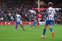 Si&ecirc;u m&aacute;y t&iacute;nh dự đo&aacute;n Brighton vs Nottingham, 21h00 ng&agrave;y 1/3
