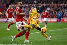 Nhận định, soi k&egrave;o Brighton vs Nottingham, 0h15 ng&agrave;y 30/3: Cơ hội phục th&ugrave;