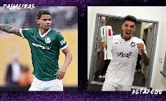 Link xem trực tiếp Palmeiras vs Botafogo h&ocirc;m nay, 23h00 ng&agrave;y 28/6