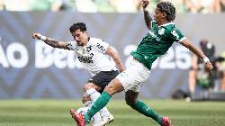 Si&ecirc;u m&aacute;y t&iacute;nh dự đo&aacute;n Palmeiras vs Botafogo, 23h00 ng&agrave;y 28/6