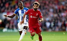 Nhận định, soi k&egrave;o Brighton vs Liverpool, 20h30 ng&agrave;y 29/1