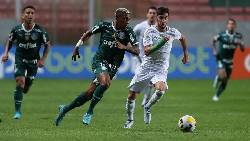 Nhận định, soi k&egrave;o Palmeiras vs America MG, 7h30 ng&agrave;y 30/11