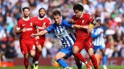 Chuy&ecirc;n gia Tony Ansell dự đo&aacute;n Brighton vs Liverpool, 02h30 ng&agrave;y 31/10