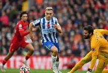 Nhận định, soi k&egrave;o Brighton vs Liverpool, 2h30 ng&agrave;y 31/10: Tiếp đ&agrave; bất bại