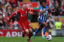 Si&ecirc;u m&aacute;y t&iacute;nh dự đo&aacute;n Brighton vs Liverpool, 02h30 ng&agrave;y 31/10