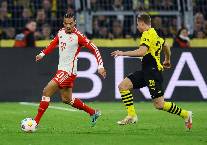 Link xem trực tiếp Dortmund vs Bayern Munich Bundesliga 00h30 ng&agrave;y 1/12