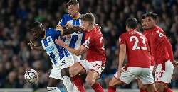 Nhận định, soi k&egrave;o Nottingham vs Brighton, 19h30 ng&agrave;y 1/2: M&ograve;ng biển g&atilde;y c&aacute;nh