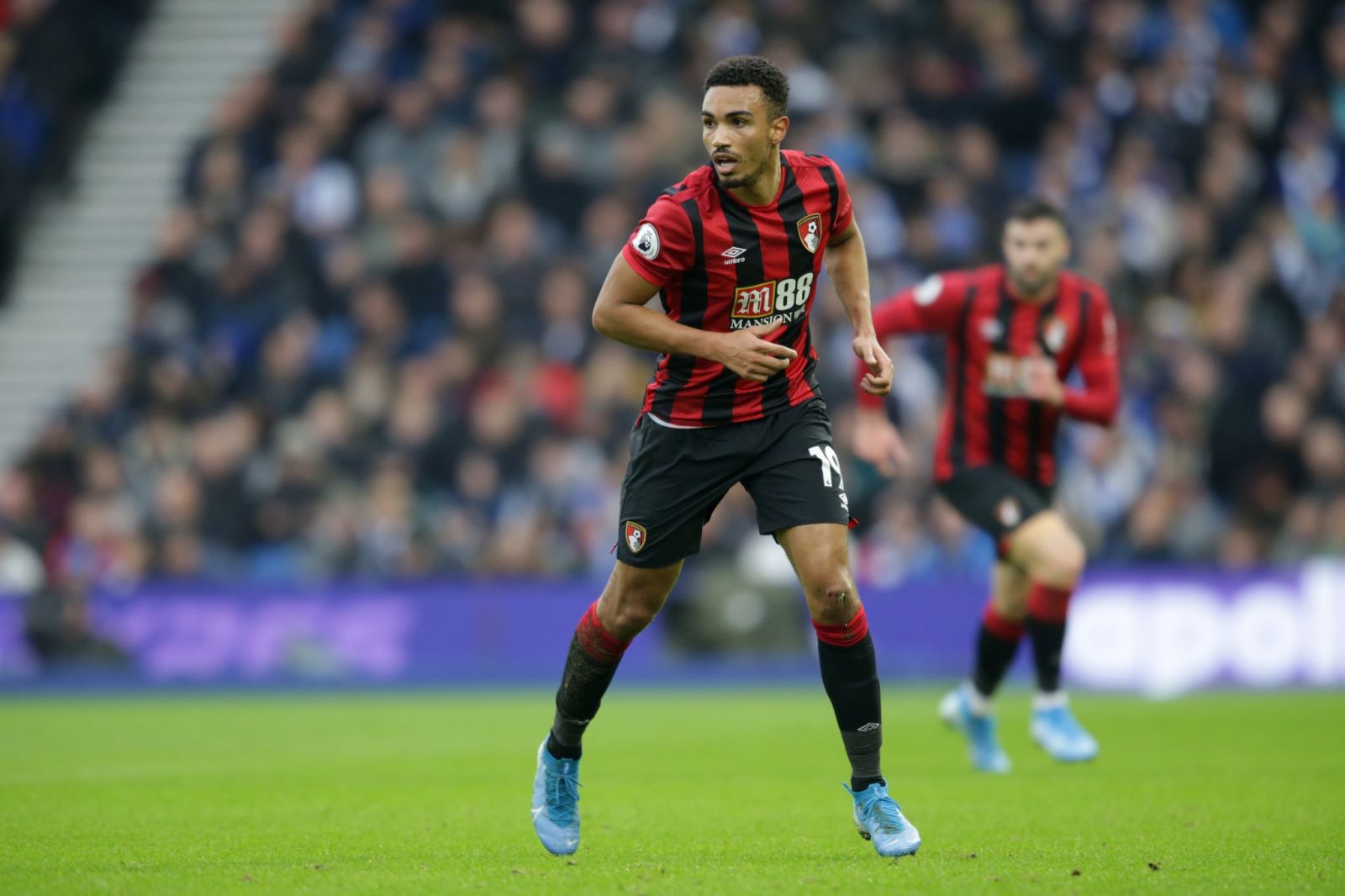 Cầu thủ ch&acirc;u &Aacute; tỏa s&aacute;ng, Brighton đả bại Bourneouth