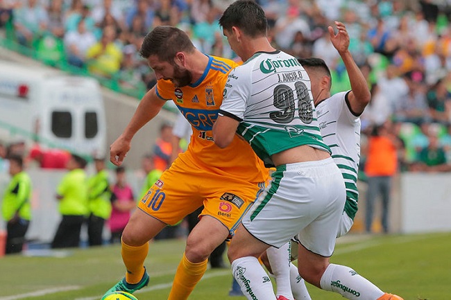 Nhận định Santos Laguna vs Tigres UANL, 7h45 ng&agrave;y 17/2: Ưu thế chủ nh&agrave;
