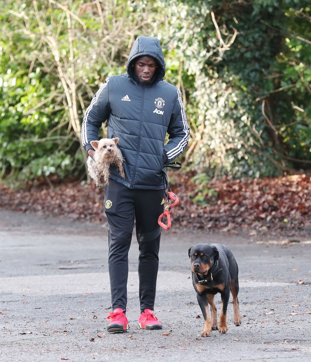 Học Pogba, Hugo Lloris bạo chi mua ch&oacute; bảo vệ gia đ&igrave;nh